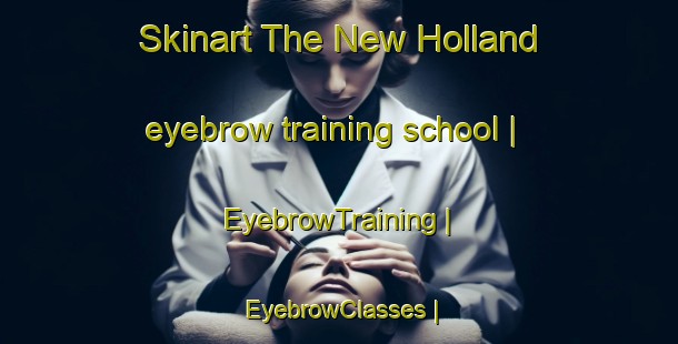 Skinart The New Holland eyebrow training school | EyebrowTraining | EyebrowClasses | SkinartTraining-United Kingdom